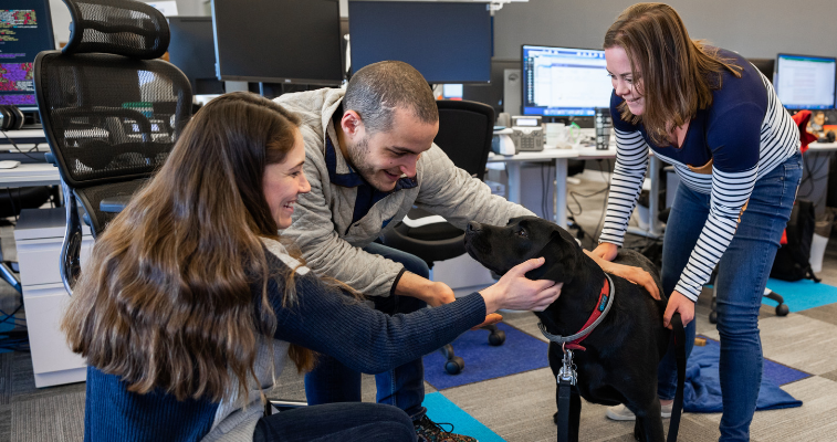 Working in Tech: Chewy banner image